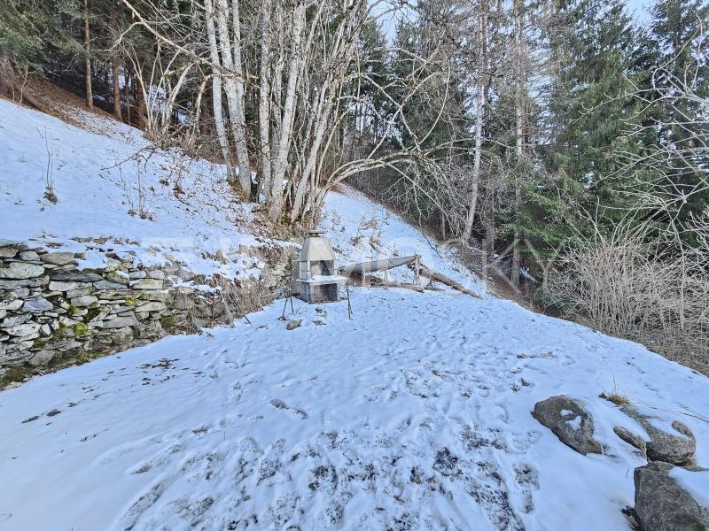 Sitzplatz mit Grill - 1 Zimmer Einfamilienhaus in Praden