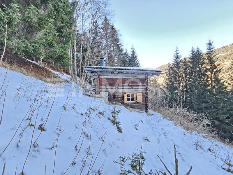 Alpenruhe - 1 Zimmer Einfamilienhaus in Praden