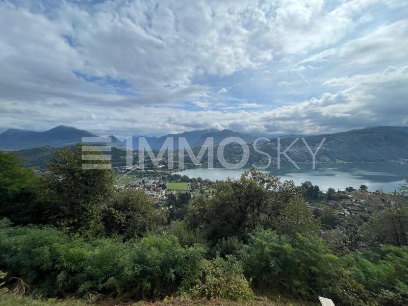 Ampia zona boschiva di proprietà - 5.5 stanze Casa a Vernate