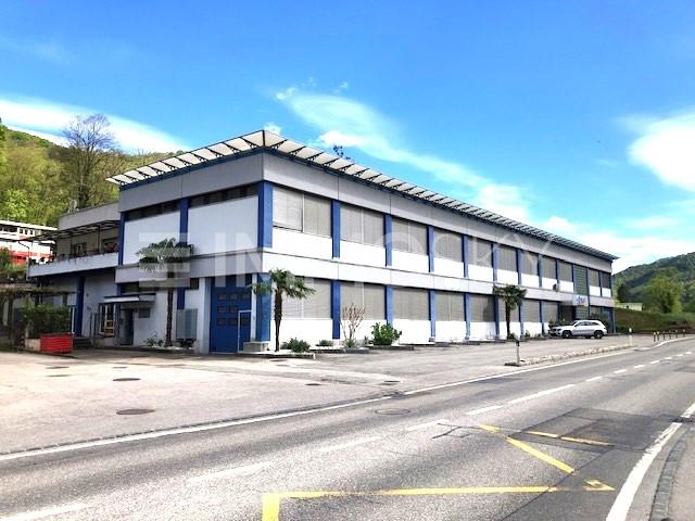 Grandi spazi disponibili - 11 rooms Business house in Purasca