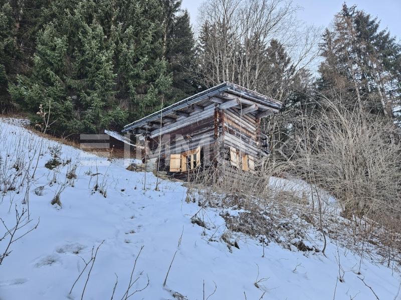 Kleiner Hüttentraum - 1 Zimmer Einfamilienhaus in Praden