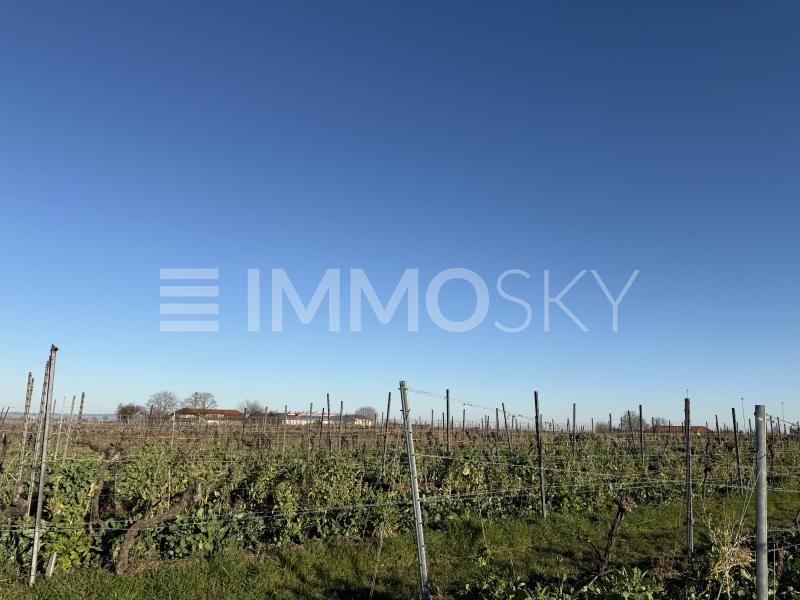Aussicht - 
