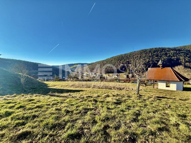 Aussicht - 
