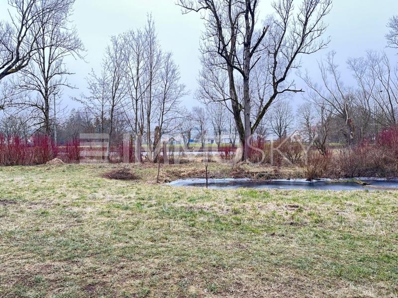 Garten mit Teich - 