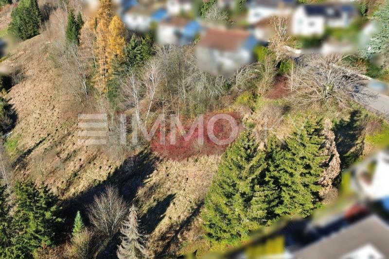 Beethovenstrasse Drohne - 