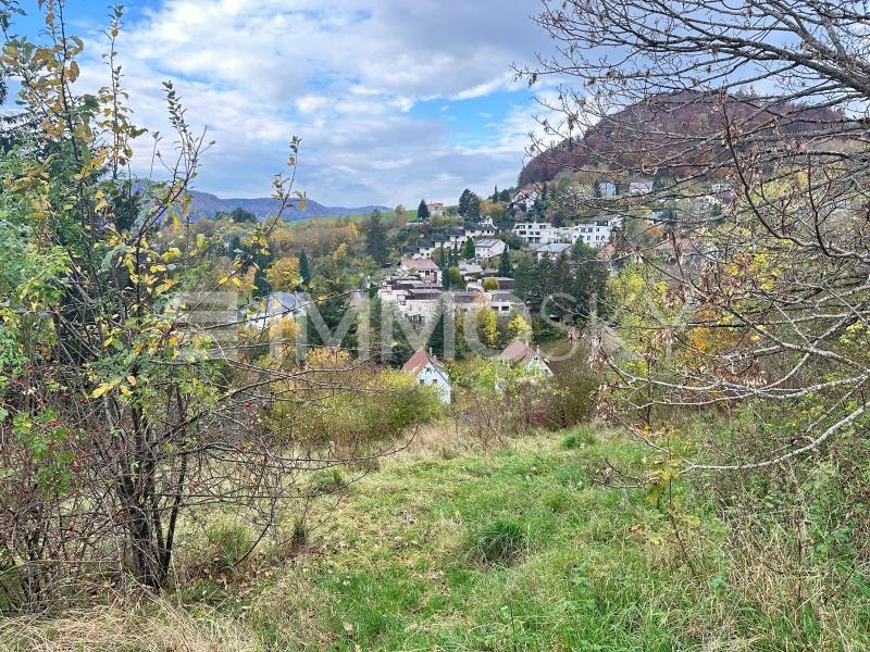 Beethovenstrasse Aussicht vom Grundstück - 