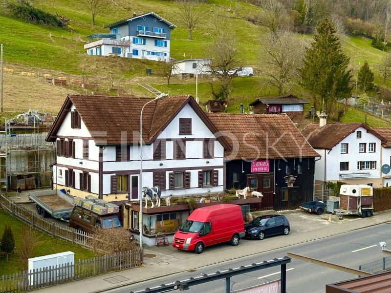 2.Aussenansicht - 8 Zimmer Einfamilienhaus in Rüthi