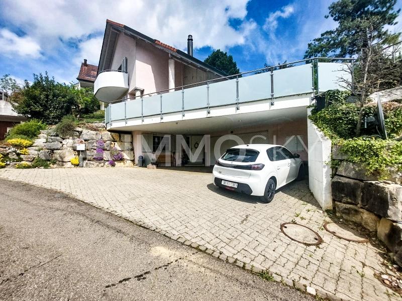 Gepflegter Aussenbereich - 6.5 rooms One-family house in Oberbözberg