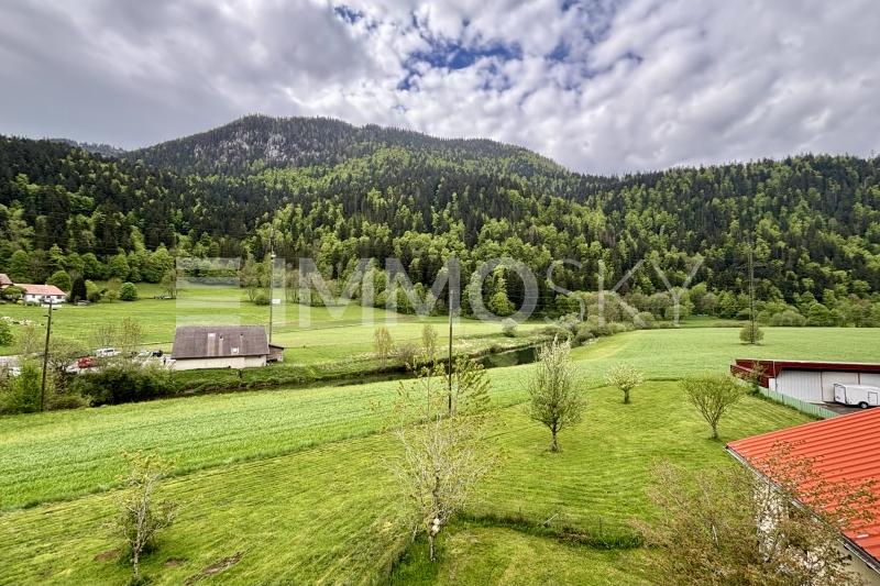 Immosky_Maison_Meril Puma - 10 rooms Two-family house in Noiraigue