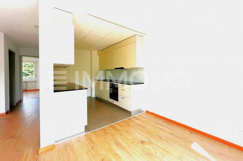 Genügend Platz - 4.5 rooms Flat in Bern