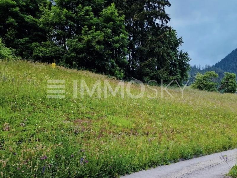 Projektstart mit Aussicht - Building land in Filisur