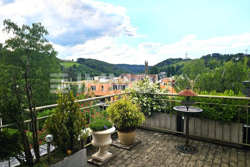 Wo der Horizont den Tag begrüsst – Ausblick von der Terrasse - 3.5 Zimmer Attikawohnung in Birmensdorf ZH