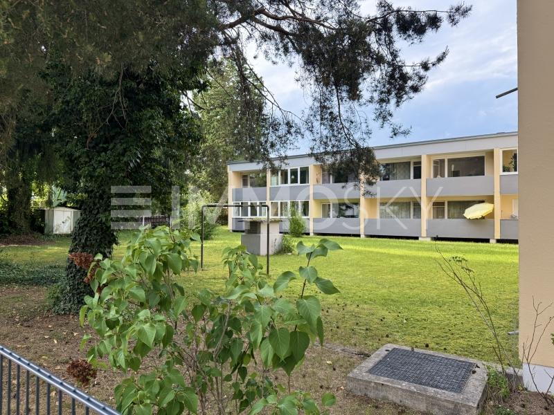 Großer Gemeinschaftsgarten - 