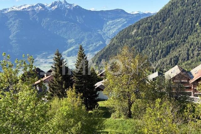 Vue sud  - Grundstück in Ovronnaz