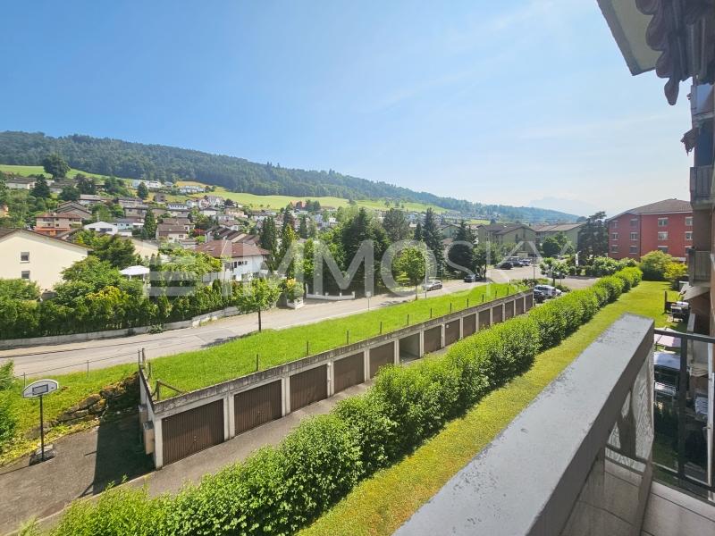 Grün so weit das Herz reicht - 4.5 pièces Appartement a Ebikon