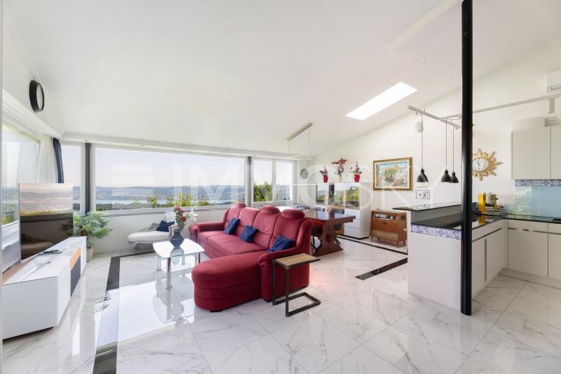 Haus li: Lounge mit Seesicht – Elegantes Wohnen mit Aussicht - 10 pièces Maison bifamiliale a Langnau am Albis