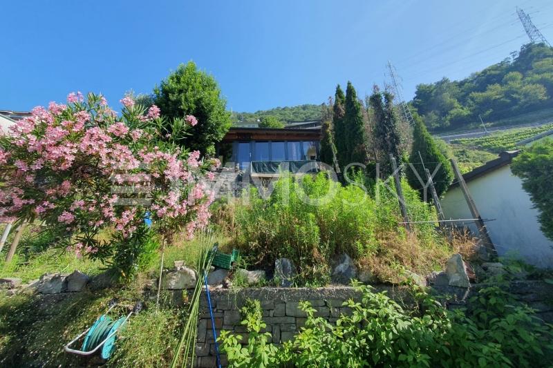 Immerso nel verde - 3 appartamenti Casa plurifamiliare a Riazzino