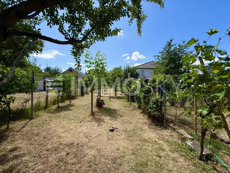 Garten - 