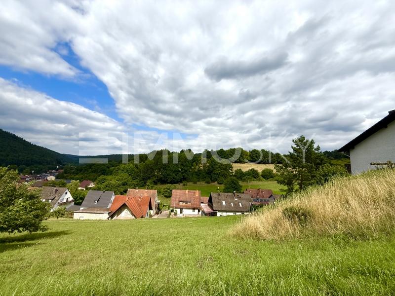 Ansicht Grundstück Straßenseite - 
