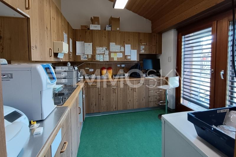 Laborküche mit direktem Zugang auf Terrasse - 7 Zimmer Gewerbehaus in Löhningen