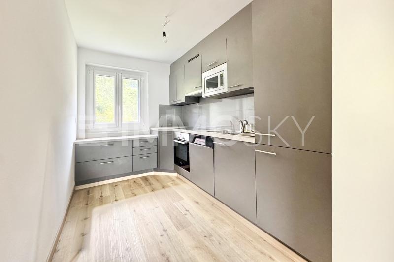 Cuisine de l'appartement du 1er - 8 pièces Maison bifamiliale a Renan BE