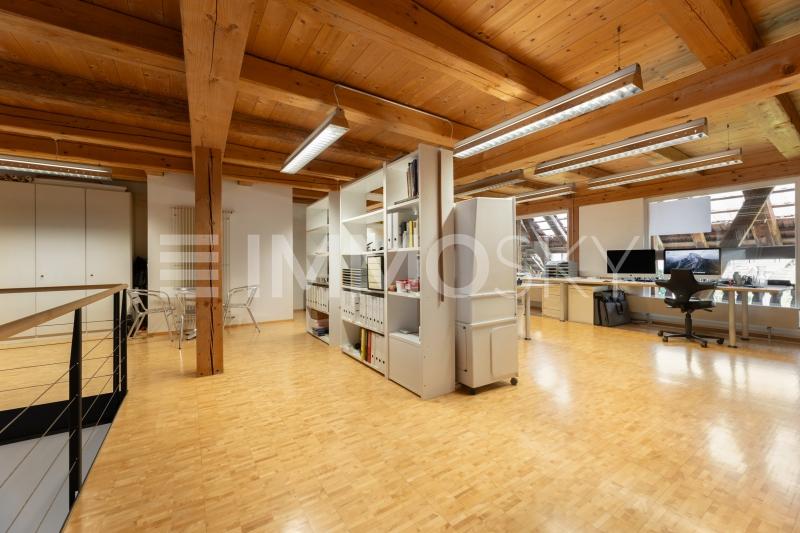 Atelier mit grosser Nutzungsvielfalt - 10 pièces Maison bifamiliale a Embrach