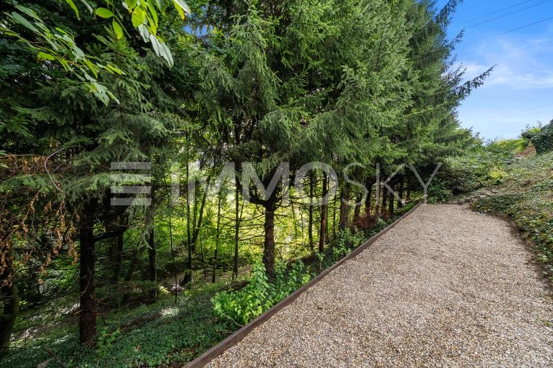 Extérieur verdoyant - 5.5 pièces Maison individuelle a Jongny