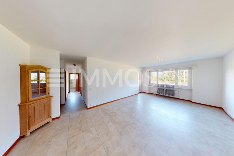 Grande open space luminoso - 3.5 pièces Appartement a Quartino