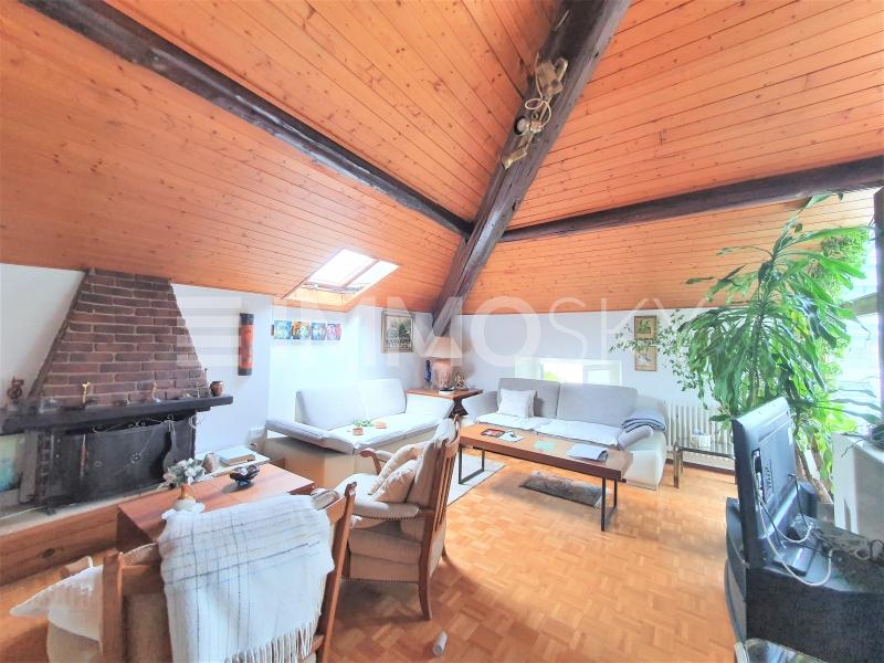 Spaziosa zona living con camino - 3.5 pièces Appartement a Balerna