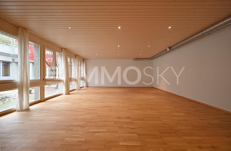 Wohnbereich mit Raum zum Entfalten und Kreativität - 3.5 pièces Loft a Thörishaus