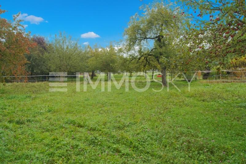 Aktuell eine grüne Wiese - 5.5 Zimmer Einfamilienhaus in Trasadingen