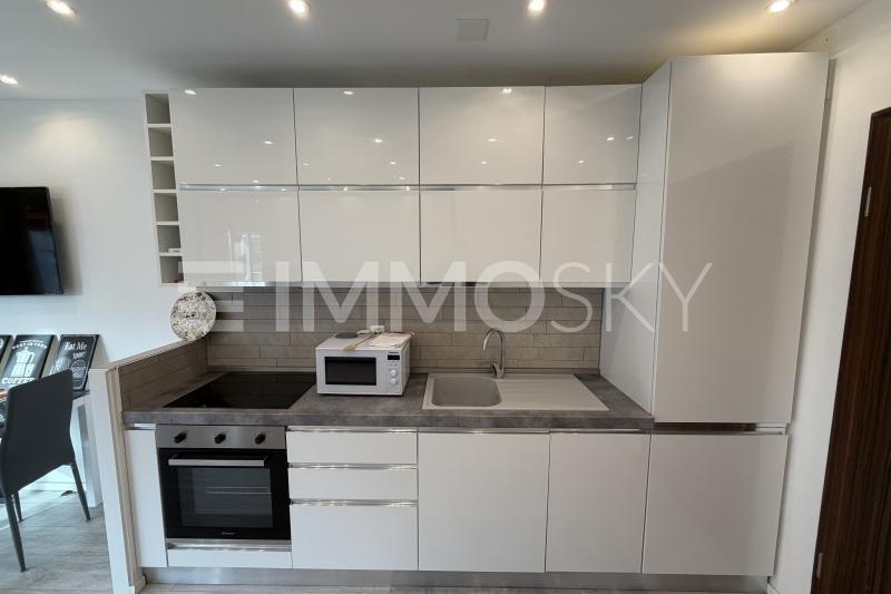 Cucina su misura  - 1.5 Zimmer Wohnung in Agno