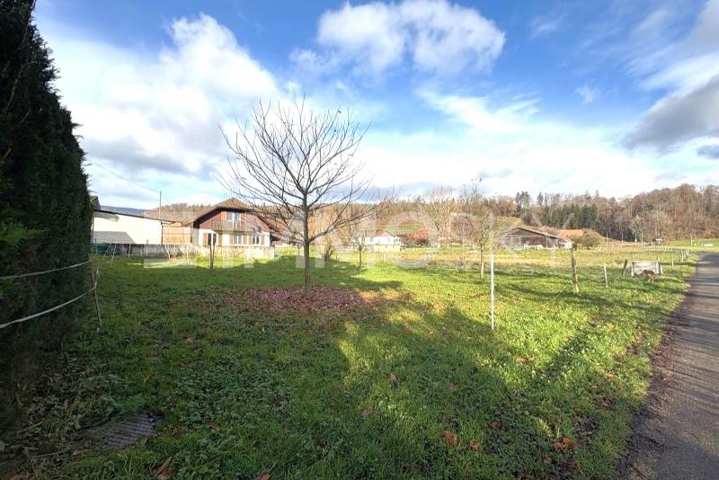 Gestallten Sie Ihr Traumhaus - Terrain à bâtir à Gampelen