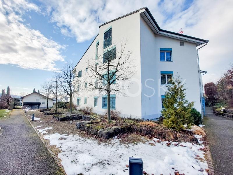 Gepflegte Umgebung - 3.5 rooms Flat in Erlinsbach