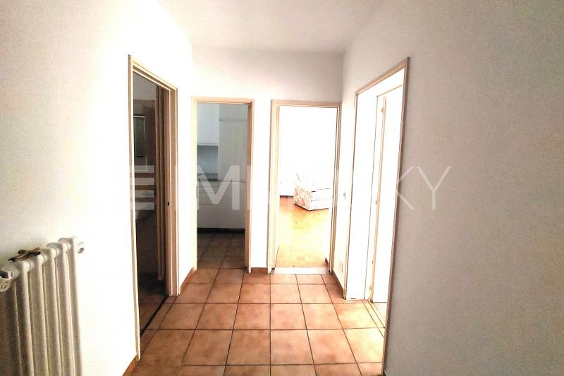 Accogliente ingresso - 2.5 stanze Appartamento a Agno
