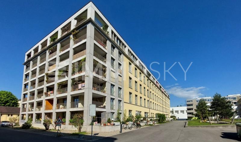 Historisches Wohnen im Grünen - 2.5 pièces Appartement a Windisch