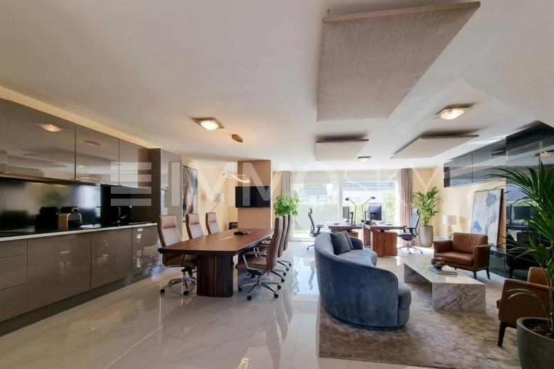 Open-space avec cuisine et accès terrasse - 2.5 stanze Ufficio a Perroy