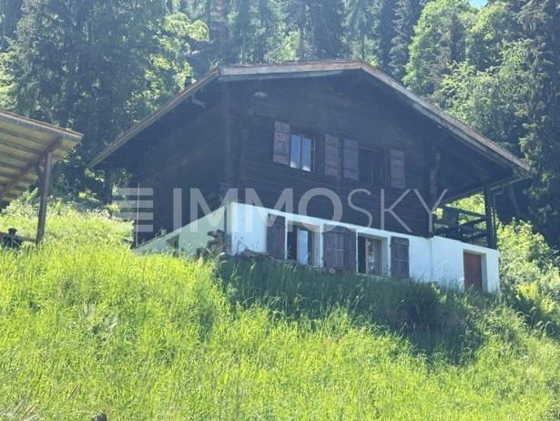Authentique mayen de 1890 - 3.5 pièces Chalet a Nax
