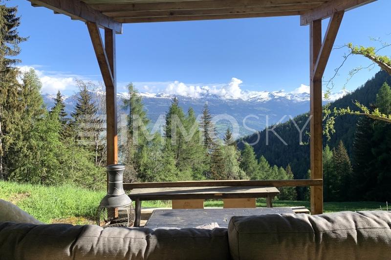 Vue apaisante sur les pâturages - 3.5 pièces Chalet a Nax