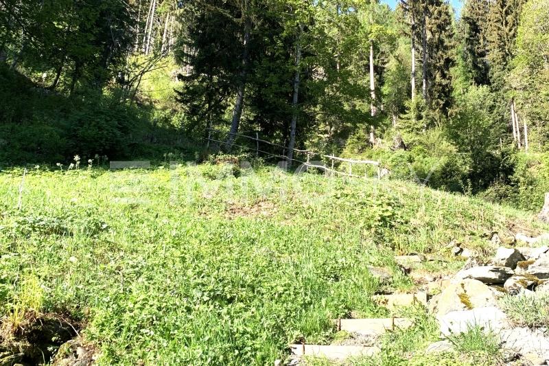 Accès source privée    - 3.5 pièces Chalet a Nax