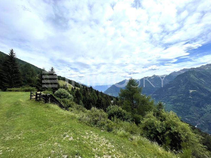 vista imprendibile versante sud - 6 pièces Rustico a Sobrio
