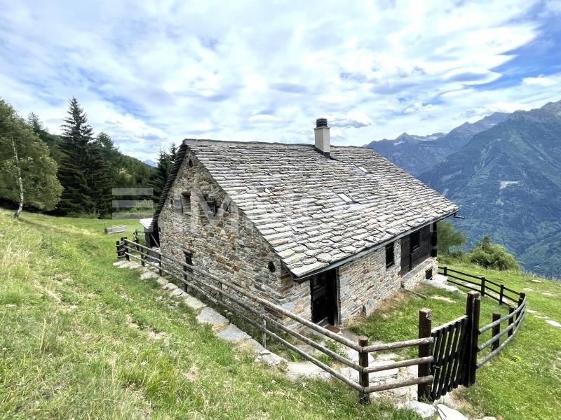 Pace, sole e tranquillità - 6 pièces Rustico a Sobrio