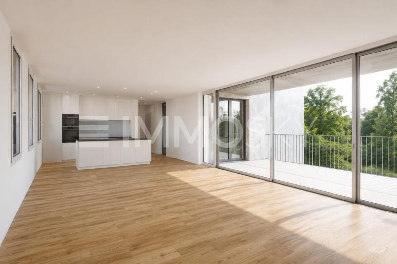 Wohnraum mit unendlichen Möglichkeiten - 5.5 pièces Appartement a Allschwil