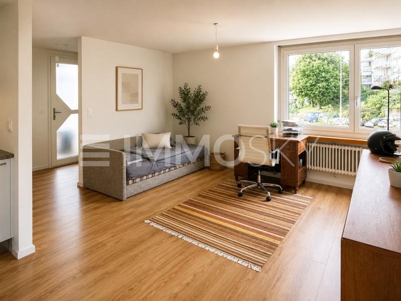 Gemütliches Wohn- und Schlafzimmer - 1 pièces Appartement a Effretikon