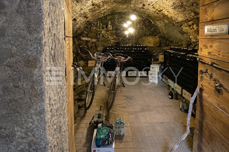 Magnifica cantina a volta - 3.5 pièces Maison a Lodano