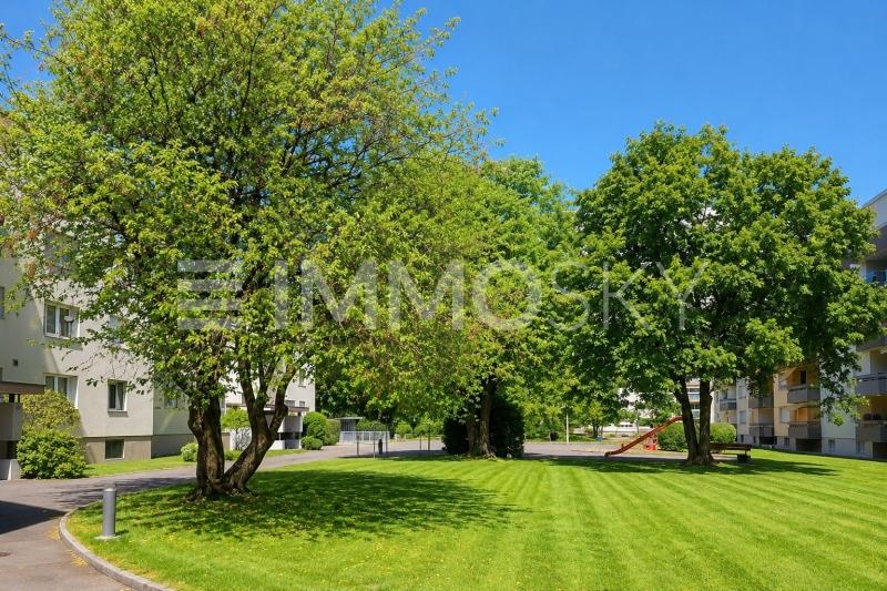 Tolle Spielwiesen und grüner Aussenbereich - 5.5 pièces Appartement a Lenzburg