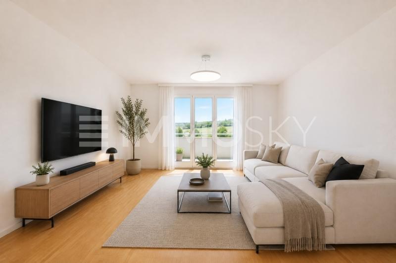 Grand sejour d environ 23m2 - Homestaging - 2.5 pièces Appartement a Romont FR