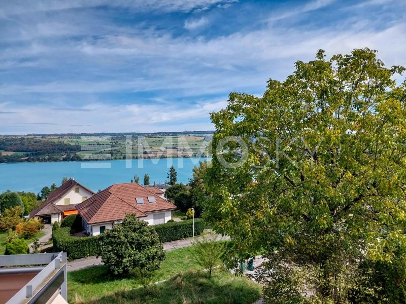 Top Aussicht in die Alpen - 4.5 Zimmer Wohnung in Beinwil am See