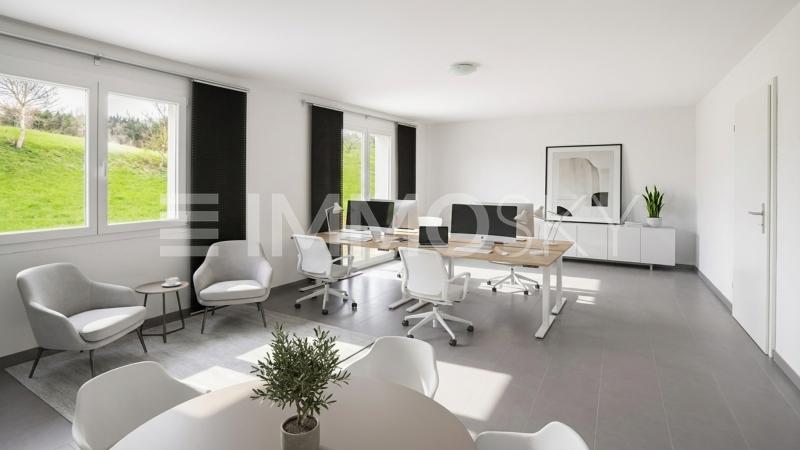 Schöner arbeiten für mehr Freude - 2 Zimmer Büro in Safenwil