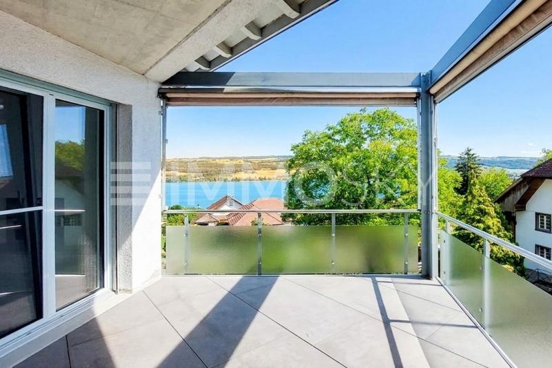 Herrliche Weitsicht auf den See und die Alpen - 4.5 stanze Appartamento a Beinwil am See